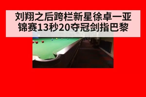 刘翔之后跨栏新星徐卓一亚锦赛13秒20夺冠剑指巴黎